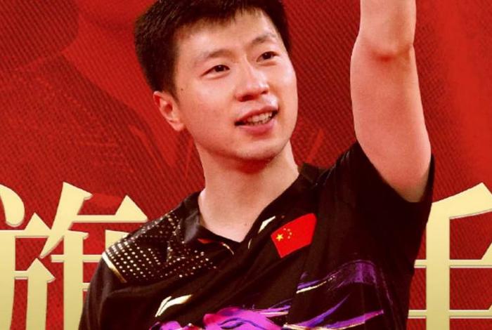 马龙人物评说；马龙人物评说视频大全