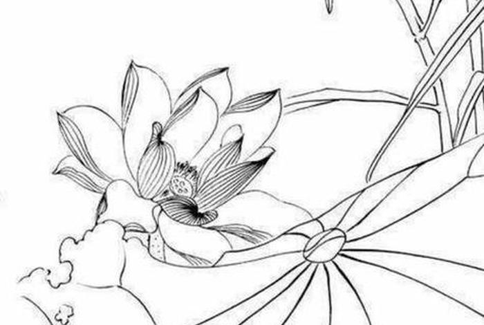 儿童简笔画白描 - 儿童画白描画图片大全 儿童简笔画白描 - 儿童画白描画图片大全