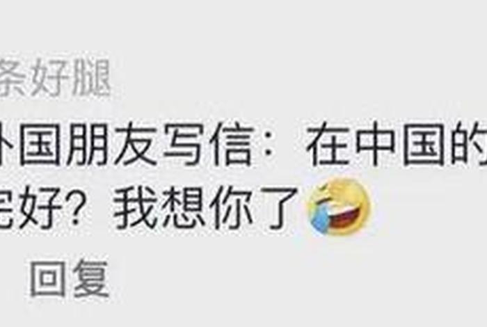 西方网友评论中国人 - 西方网友评论中国人的句子