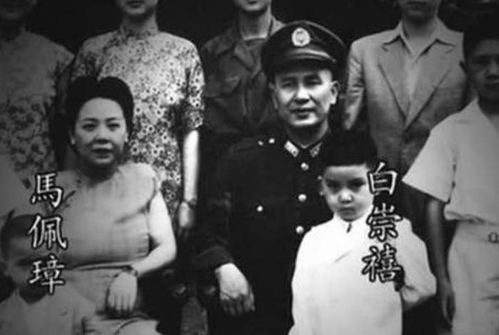 白崇禧生平简介;白崇禧传简历和晚年 白崇禧生平简介;白崇禧传简历和晚年