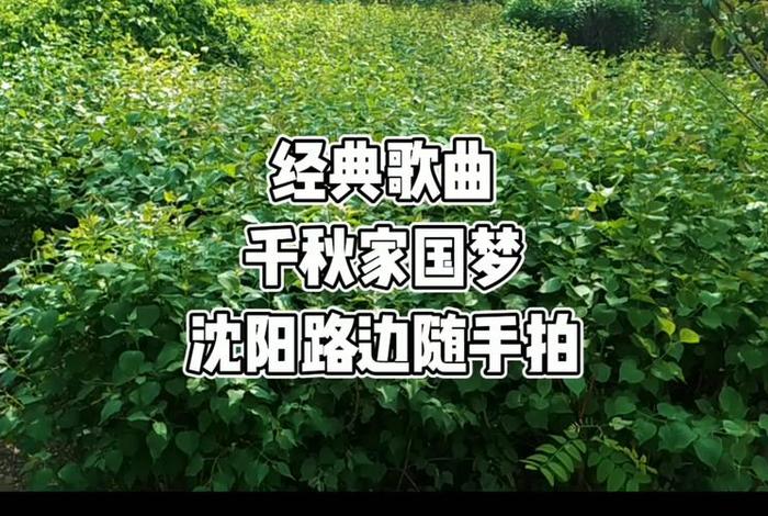 千秋家国梦mv - 千秋家国梦MV 千秋家国梦mv - 千秋家国梦MV