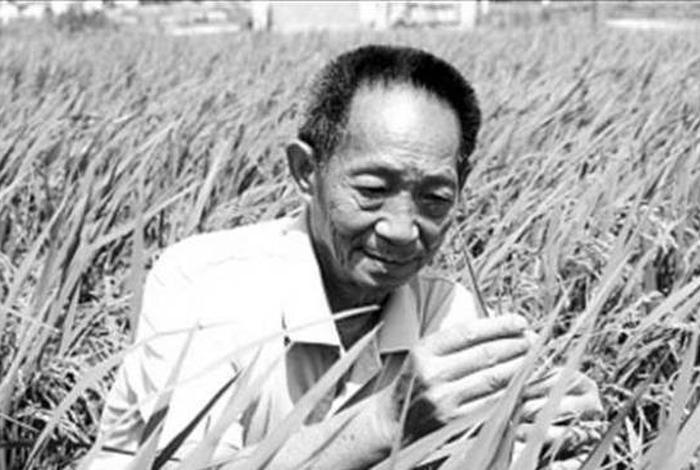 袁隆平算历史人物吗?(袁隆平算不算伟人?) 袁隆平算历史人物吗?(袁隆平算不算伟人?)