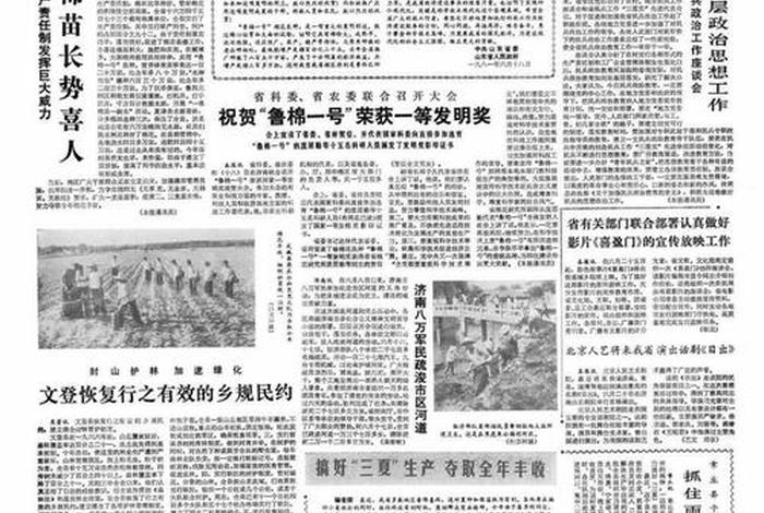 1981年重大历史事件有哪些 - 1981年重大历史事件有哪些内容