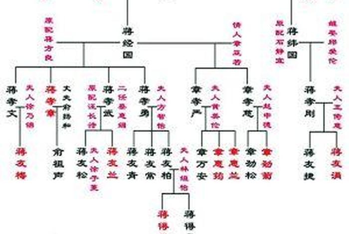 中国历史人物的家属关系是什么、历史人物后代家谱