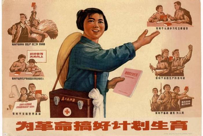 计划生育的历史责任、计划生育的历史责任谁来负