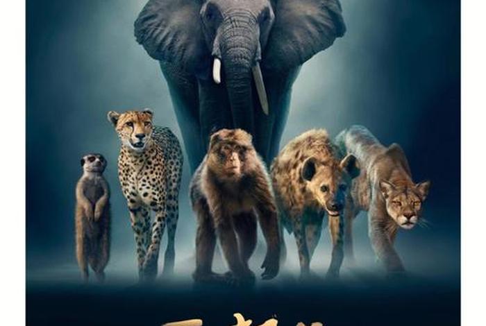 纪录片中国历史每集一个朝代 中国历史朝代纪录片哪里看 纪录片中国历史每集一个朝代 中国历史朝代纪录片哪里看