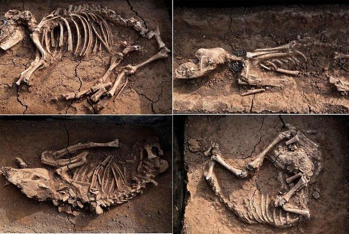 中国历史未被发现大墓 - 中国历史未被发现大墓的人 中国历史未被发现大墓 - 中国历史未被发现大墓的人