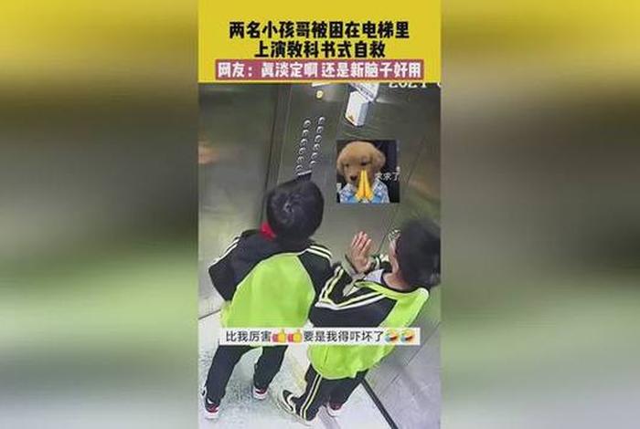 小孩哥走失用教科书式求救、小孩走丢的视频 小孩哥走失用教科书式求救、小孩走丢的视频