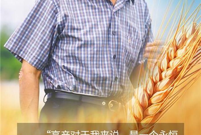 袁隆平人物事迹和精神;袁隆平人物事迹和精神简短 袁隆平人物事迹和精神;袁隆平人物事迹和精神简短