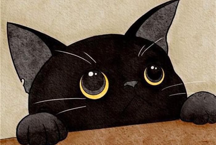 很少见的图片 很少见的图片头像 很少见的图片 很少见的图片头像