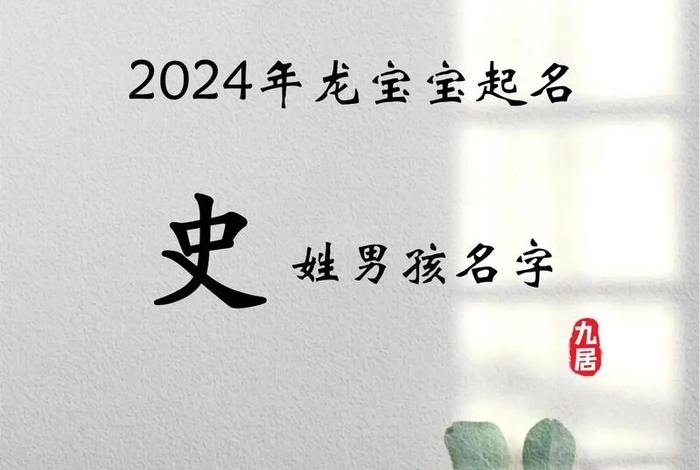 中国历史上姓史的人物；姓史的厉害人物