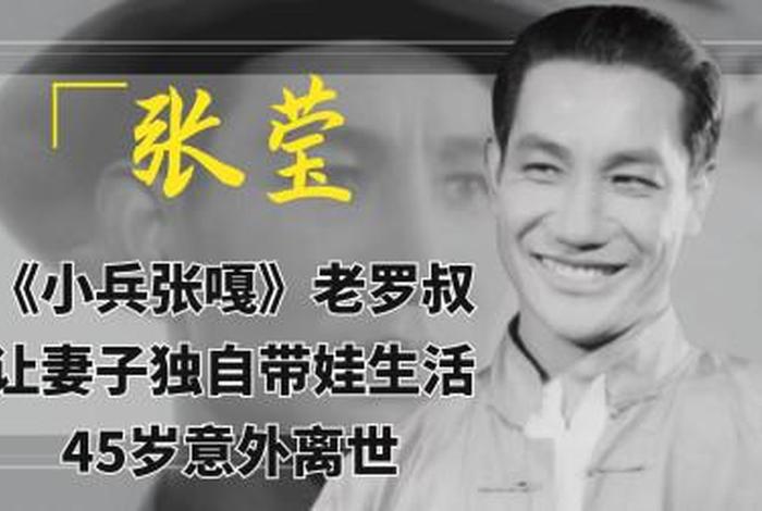 历史人物张莹简介；张莹死因