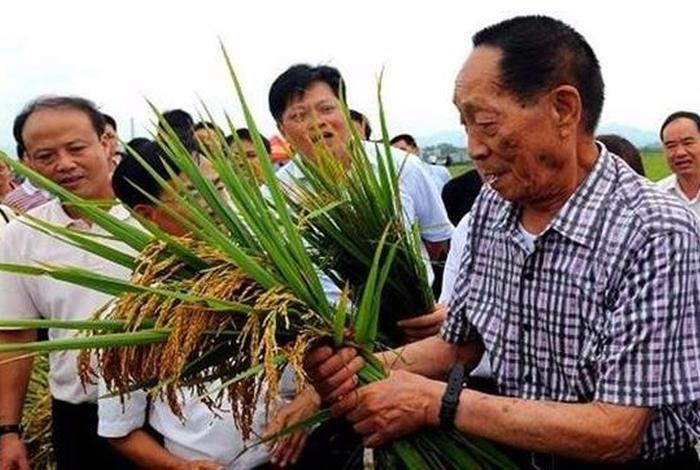 袁隆平算中国历史人物吗为什么,袁隆平是否属实 袁隆平算中国历史人物吗为什么,袁隆平是否属实
