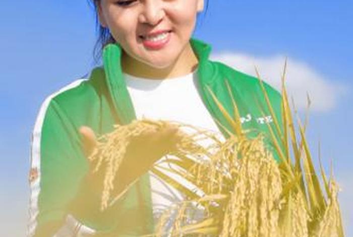 历史人物张芳、张芳的简介