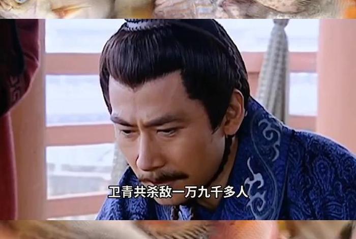 霍去病卫青的生平简介 卫青霍去病的资料