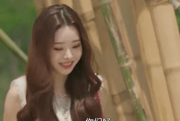 韩国综艺里的中国人、韩国综艺节目有中国人的节目 韩国综艺里的中国人、韩国综艺节目有中国人的节目