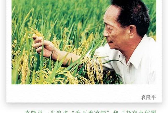 袁隆平人物事迹和精神;袁隆平人物事迹和精神简短 袁隆平人物事迹和精神;袁隆平人物事迹和精神简短