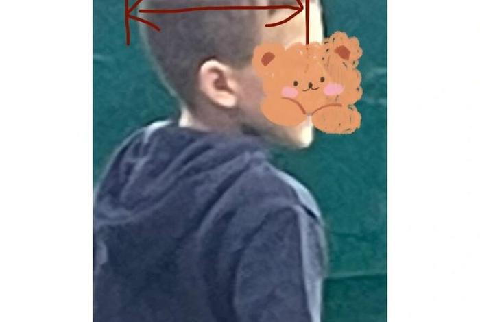 中头的人有多少(我头率) 中头的人有多少(我头率)