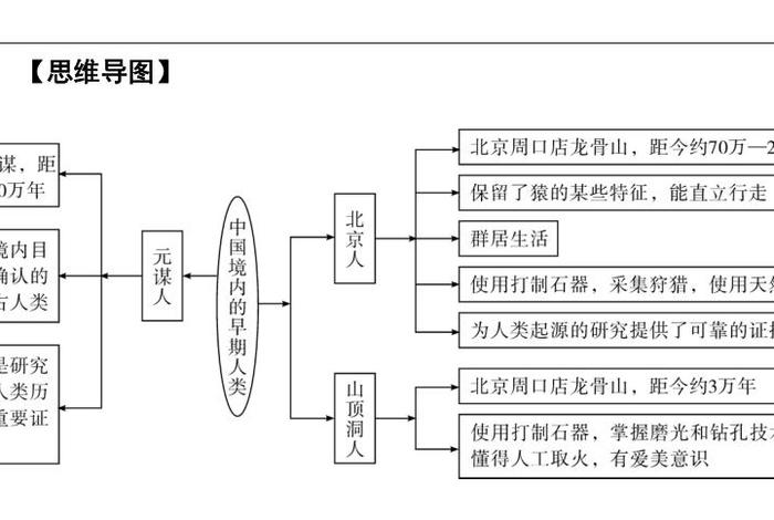 思维导图中国历史 思维导图中国历史猿人怎么画