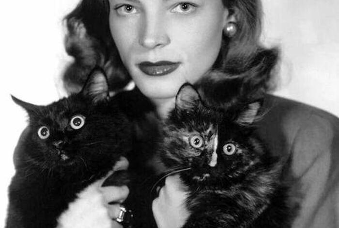 猫扮演历史人物英文、扮演小猫英语