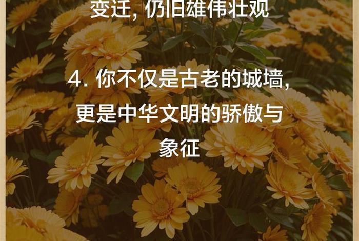 描述中国历史的高级文案；关于中国历史的短句