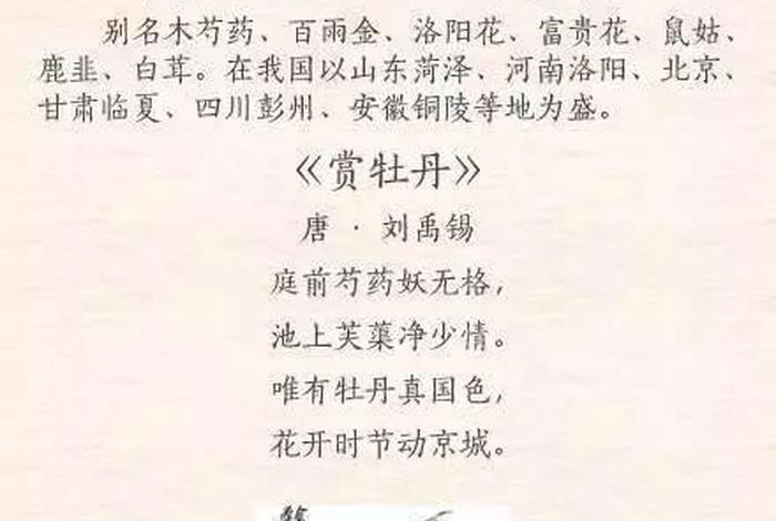 中国十大历史名花有哪些 写出中国十大名花 中国十大历史名花有哪些 写出中国十大名花