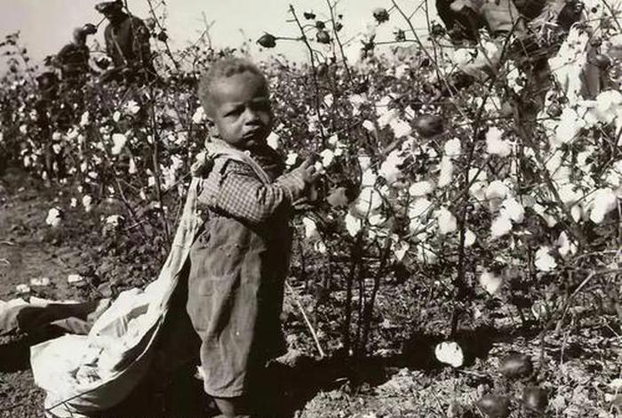 美国历史中的黑人福斯特(美国历史中的黑人福斯特是哪里人) 美国历史中的黑人福斯特(美国历史中的黑人福斯特是哪里人)