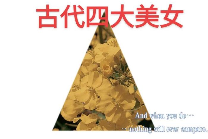 中国四大历史人物故事视频（历史人物故事四大美女）