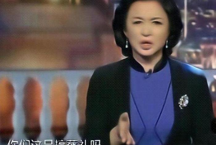 金星评价中国综艺节目 - 金星当评委的综艺 金星评价中国综艺节目 - 金星当评委的综艺