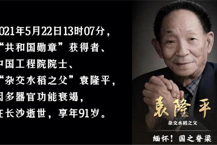 袁世凯人物事迹；袁世凯人物事迹概括