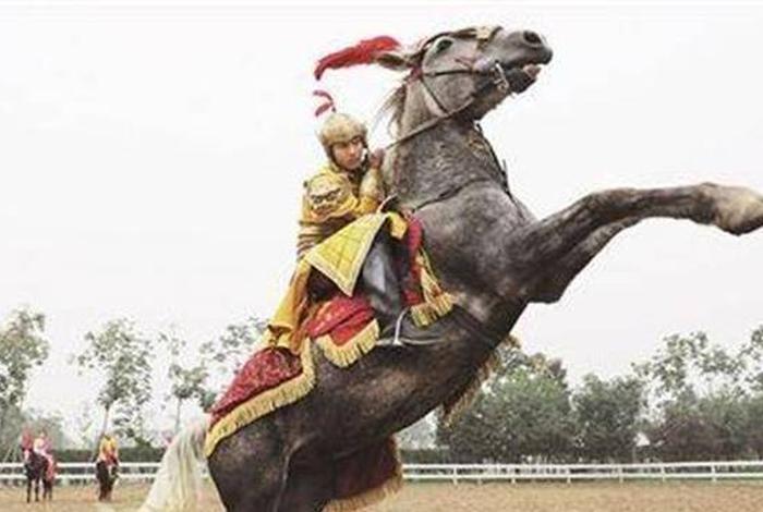 历史名人骑的马,古代骑马的名人有哪些 历史名人骑的马,古代骑马的名人有哪些