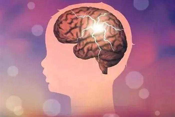 没有脑子的人怎样才能变得有脑子（没有脑子会怎样）