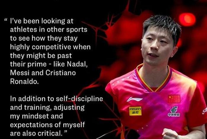 马龙人物评说；马龙人物评说视频大全