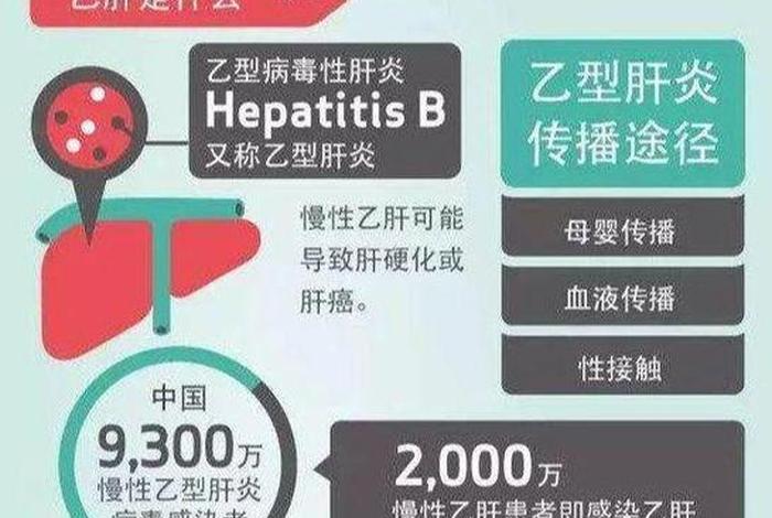 中国人的乙肝是怎么来的(中国乙肝原因) 中国人的乙肝是怎么来的(中国乙肝原因)