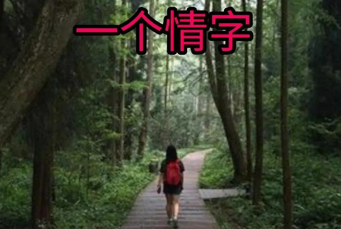 生活中有情有义的人 有情又有义的人 生活中有情有义的人 有情又有义的人