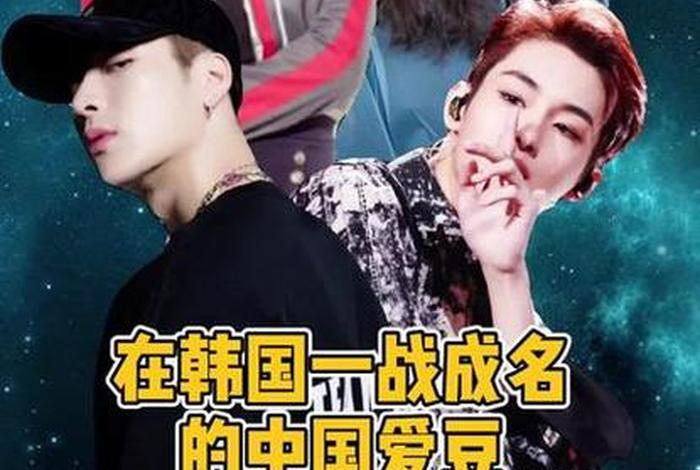 韩国艺人评价中国 - 韩国艺人对中国态度 韩国艺人评价中国 - 韩国艺人对中国态度