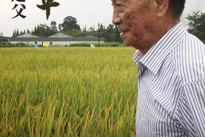 袁隆平人物事列;袁隆平的杰出人物事迹表 袁隆平人物事列;袁隆平的杰出人物事迹表