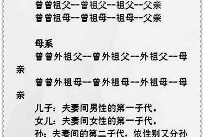 中国历史人物的家属关系是什么、历史人物后代家谱