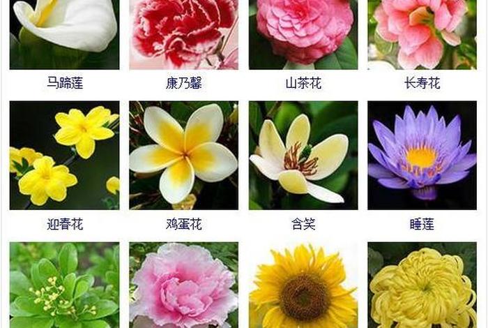 好听的历史人物花名、好听的历史人物花名大全 好听的历史人物花名、好听的历史人物花名大全