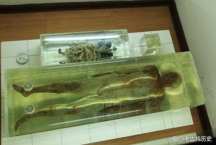 历史人物遗骸、古人遗骸 历史人物遗骸、古人遗骸