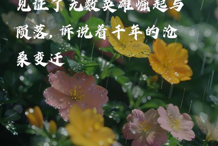 有关历史长河的句子、关于历史长河 有关历史长河的句子、关于历史长河