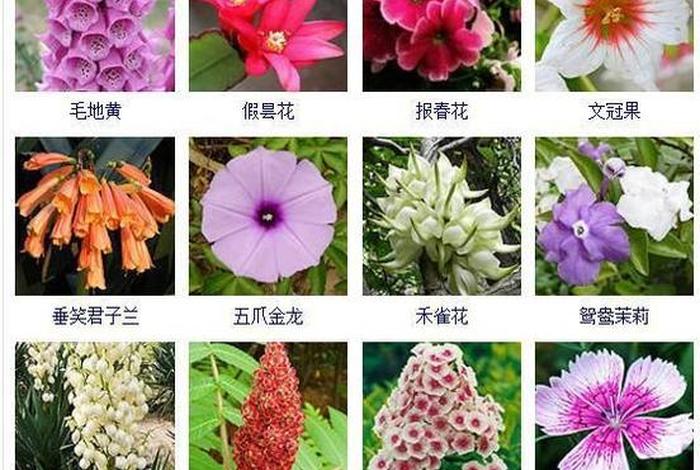 历史人物 花名；历史人物花名字大全 名称