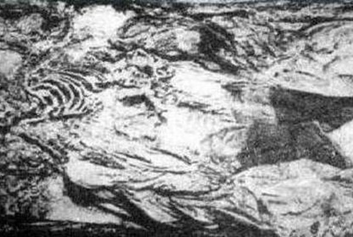 历史名人遗骨 名人遗照 历史名人遗骨 名人遗照