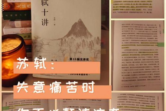 中国历史故事苏轼 苏轼历史那些事