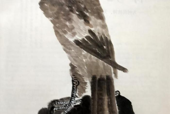 中国古代对鹰的看法 - 鹰在古代战场上起到什么作用 中国古代对鹰的看法 - 鹰在古代战场上起到什么作用