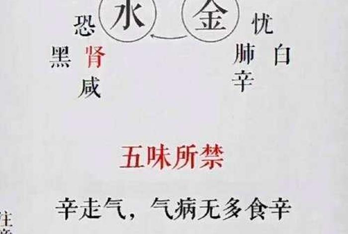 五行的历史(五行历史说) 五行的历史(五行历史说)