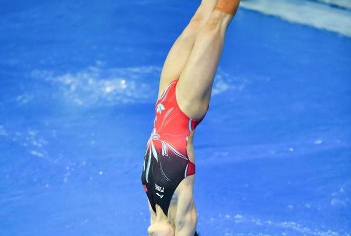 跳水 历史,跳水历史最高总分 跳水 历史,跳水历史最高总分