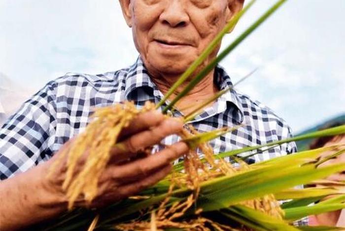 袁隆平先进人物事迹范文；袁隆平先进事迹材料