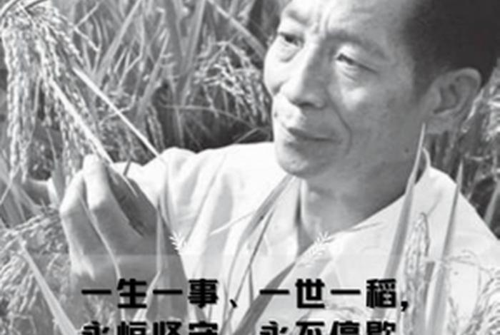 袁隆平历史事迹不少于150;袁隆平的事迹100字以内 袁隆平历史事迹不少于150;袁隆平的事迹100字以内