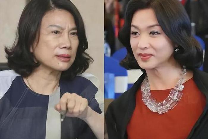 金星说中国太把明星当回事了 金星怒怼明星 金星说中国太把明星当回事了 金星怒怼明星